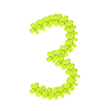 number three from green flowerの写真素材