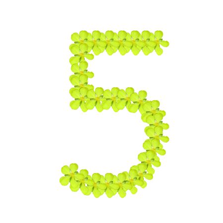number five from green flowerの写真素材