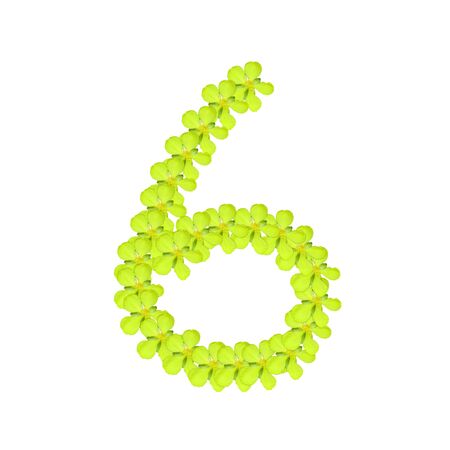 number six from green flowerの写真素材