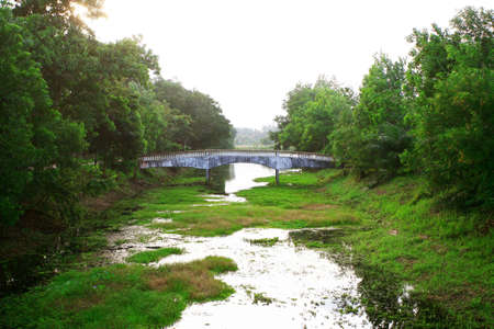  river in the natureの写真素材
