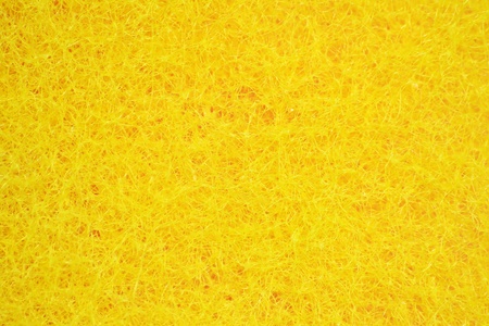 Yellow backgroundの写真素材