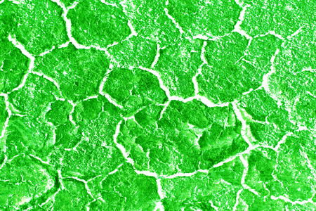 Green soil backgroundの写真素材