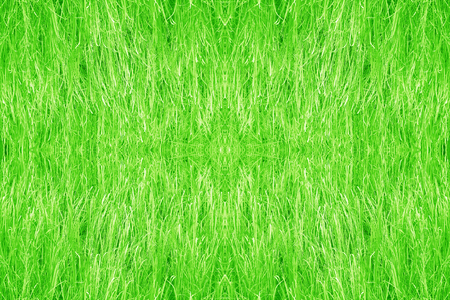 Green grass backgroundの写真素材