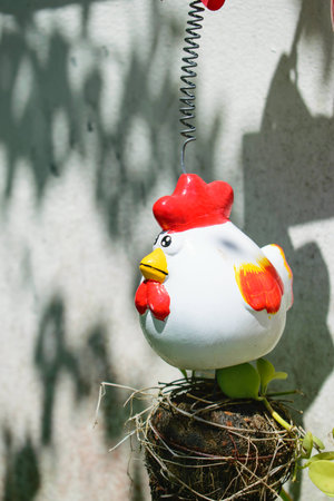 Hanging pot Small Planting small trees.の写真素材