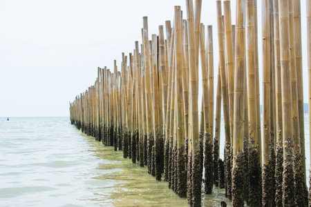 Sea running through a wooden fence.の写真素材