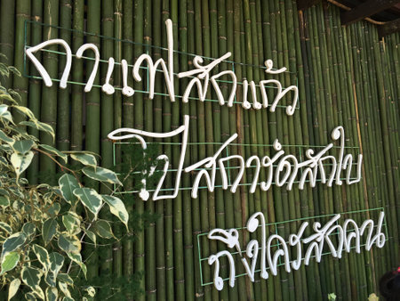 CHIANG MAI,THAILAND,angkhang mountain coffee zoneの写真素材