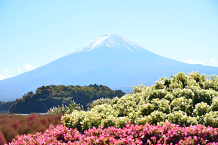 Mt. Fuji, Japan at Lake Kawaguchi during the autumn season.の写真素材