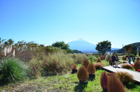 Mt. Fuji, Japan at Lake Kawaguchi during the autumn season.のeditorial素材