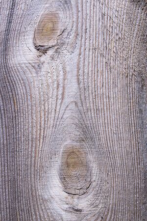 High resolution Wood plank as texture and backgroundの写真素材