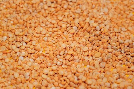 dry red peas scattered on a yellow background close-up. place for text. Textureの写真素材
