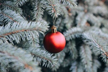 Christmas toy on the branches of a New Year tree. Christmas tree decorated with a festive ballの写真素材
