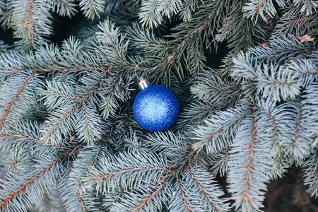 Christmas toy on the branches of a New Year tree. Christmas tree decorated with a festive ballの写真素材
