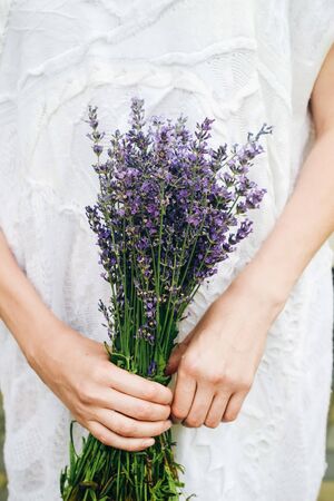 Tender bows of a girl holding a bouquet of medicinal lavenderの写真素材