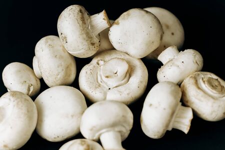 champignon mushrooms on a black background. space for textの写真素材