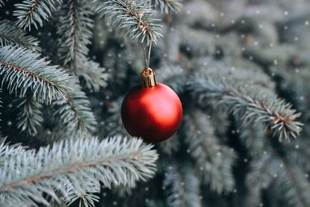 Christmas toy on the branches of a New Year tree. Christmas tree decorated with a festive ball and wooden toysの写真素材