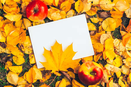 Blank sheet with space for text on a background of yellow autumn leaves. List of plans and goals.の写真素材