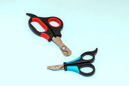 Two nail clippers for cats and dogs on a blue backgroundの写真素材
