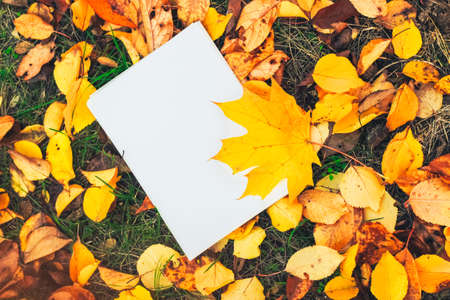 Blank sheet with space for text on a background of yellow autumn leaves. List of plans and goals.の写真素材