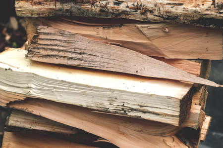 Logs for a shish kebab or for a fireplace. Tying firewood.の写真素材