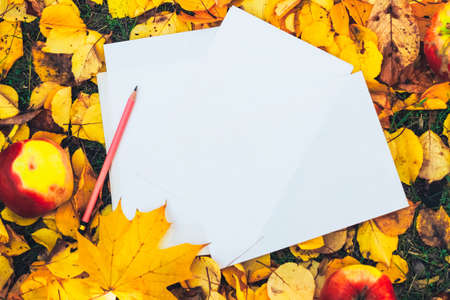 Blank sheet with space for text on a background of yellow autumn leaves. List of plans and goals.の写真素材