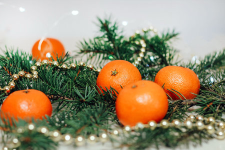 Clementines on a spruce branch against the background of a Christmas garland.の写真素材