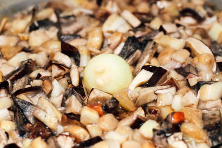 Cooking forest edible mushrooms. Boil chopped Imleria badia, Suillus, Leccinum in a saucepan.の写真素材