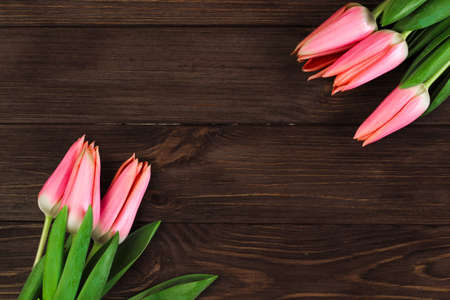 Pink spring tulips on a background of brown boards. Place for text.の写真素材