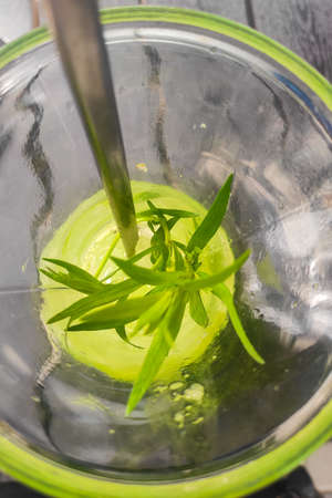 Glasses with cold lemonade tarragon kiwi lime.の写真素材