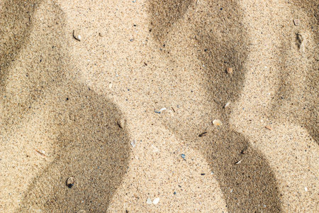 texture of fine yellow sand k with pieces of shell and sea pebbles.