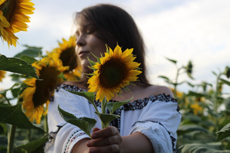 girl at sunset traditional ethnic shirt holding sunflower in her hands.の写真素材