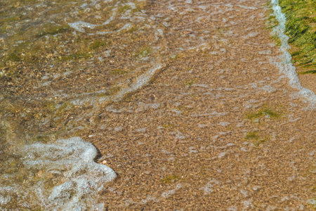 sea shore beach with clear water seaweed and sand.の写真素材