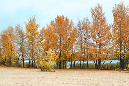 Autumn landscape over the river, yellowed trees along the beach.の写真素材