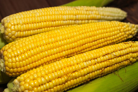 Sweet yellow corn lies on a wooden table.の写真素材