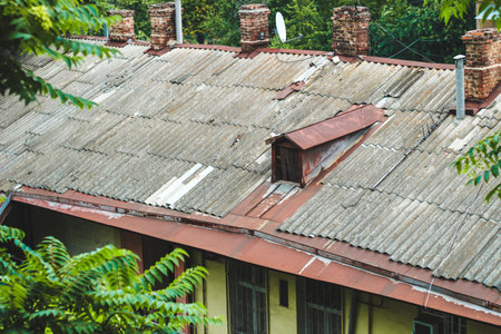 roofs of old houses with chimneys made of antique stone.