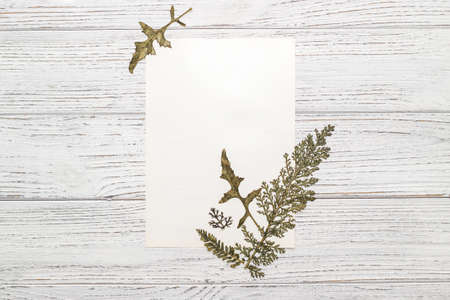 Autumn herbarium, leaves and plants with cotton on wooden background.の写真素材