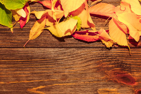 Frame made of autumn leaves with space for text on wooden background.の写真素材