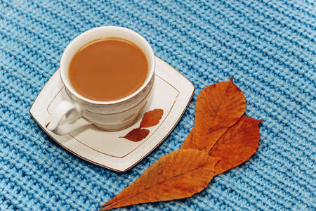 White cup with coffee with milk on the background of a knitted sweater and autumn leaves.の写真素材