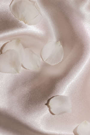 White rose petals on a silk beige background, space for text.の写真素材