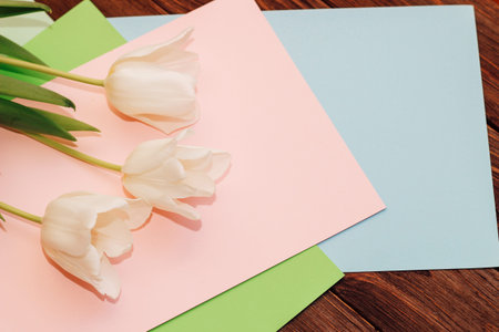 Bouquet of white tulips on colored paper background.