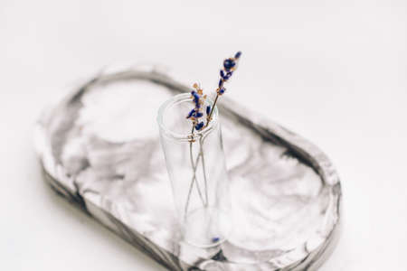 Lavender sprigs in a glass vase on a decorative marble stand.の写真素材