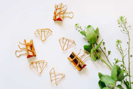 Paper clips and clips in the form of rose gold diamonds on a background with green plants.の写真素材