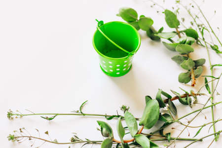 Miniature decorative garden bucket on a background with green plants.の写真素材