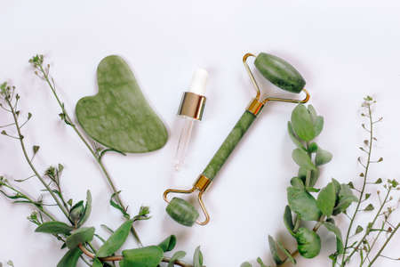Jade roller massager and gouache facial scraper on a background with green plants.の写真素材