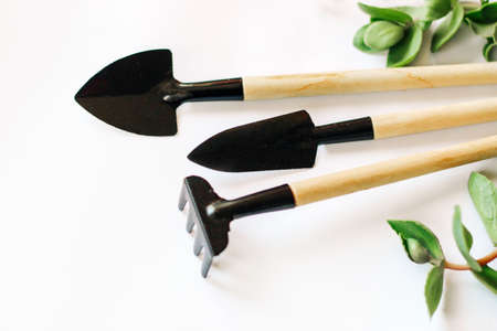 Wooden garden tools on a background with green plants.の写真素材