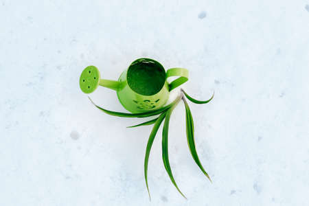 A green iron small watering can against the background of snow and a plant grows.の写真素材