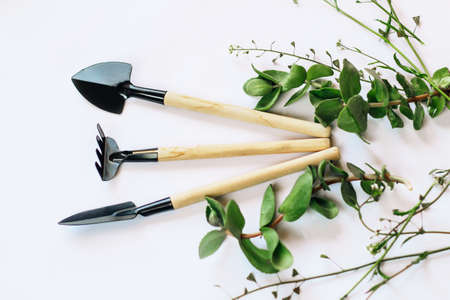 Wooden garden tools on a background with green plants.の写真素材