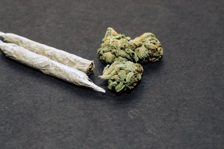 Addiction concept, marijuana joint with buds inflorescences.の写真素材