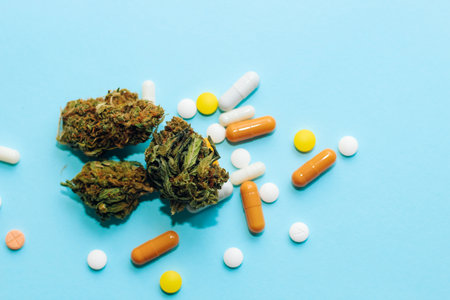 Medical marijuana, inflorescences of shinki herb plant with judge's gavel and pills.の写真素材