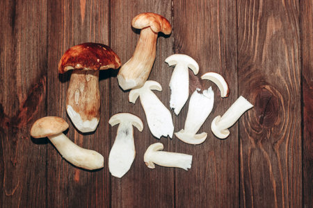 Boletus edulis on a table made of brown boards preparation for eating.の写真素材