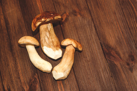 Boletus edulis on a table made of brown boards preparation for eating.の写真素材
